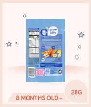 Load image into Gallery viewer, Gerber Very Berry Blend Fruit & Veggie Melts 28g Pouch