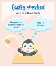 Load image into Gallery viewer, Gerber Snack Arrowroot Biscuits 155g Pouch