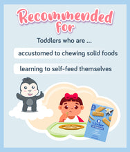 Load image into Gallery viewer, Gerber Snack Lil Biscuits 126g Box