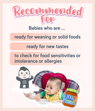 Load image into Gallery viewer, Gerber Organic Carrot Baby Food 113g Jar