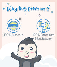 Load image into Gallery viewer, Gerber Organic Teethers Mango Banana Carrot 48g Box