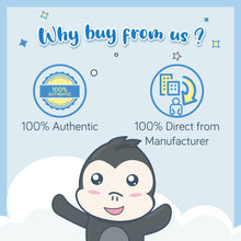 Load image into Gallery viewer, Gerber Soft Baked Grain Bars Apple Cinnamon 156G Box