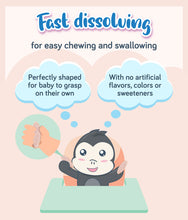 Load image into Gallery viewer, Gerber Teethers Strawberry Apple Spinach 48g Box