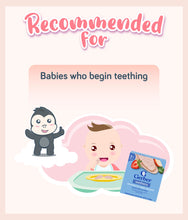 Load image into Gallery viewer, Gerber Teethers Strawberry Apple Spinach 48g Box