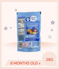 Load image into Gallery viewer, Gerber Truly Tropical Blend Fruit & Veggie Melts 28g Pouch