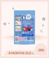 Load image into Gallery viewer, Gerber Yogurt Melts Mixed Berries 28g Pouch