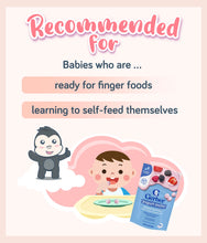 Load image into Gallery viewer, Gerber Yogurt Melts Mixed Berries 28g Pouch