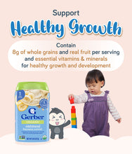 Load image into Gallery viewer, Gerber Organic Cereal Oatmeal Banana 227g Container