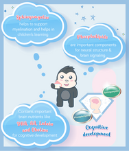 Load image into Gallery viewer, Key nutrients in S-26 Gold Progress for cognitive development