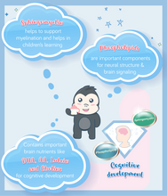 Load image into Gallery viewer, Key nutrients in S-26 Gold Promise 850g TIN for body and cognitive development