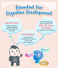 Load image into Gallery viewer, S-26 SMA Step 1 1.65kg included nutrients essential for cognitive development