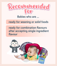 Load image into Gallery viewer, Gerber Organic Pear Blueberry Apple Avocado for babies ready for solid foods and new flavours