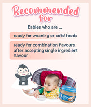 Load image into Gallery viewer, Gerber Turkey & Gravy 71g Jar recommended for babies ready for solid food and new tastes