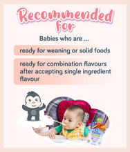 Load image into Gallery viewer, Gerber Organic Carrot Apple Mango recommended for babies ready for solid foods and new flavours