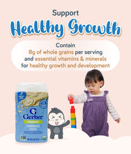 Load image into Gallery viewer, Gerber Organic Single Grain Cereal Oatmeal 227g Container