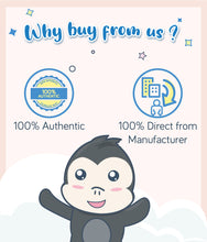 Load image into Gallery viewer, Gerber Teethers Strawberry Apple Spinach 48g Box 100% authentic from manufacturer