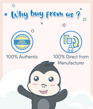 Load image into Gallery viewer, Gerber Organic Teethers Mango Banana Carrot 48g Box is 100% authentic from manufacturer