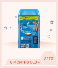 Load image into Gallery viewer, Back view of Gerber Powerblend Probiotic Cereal Oatmeal, Lentil, Carrots & Apples 227g container with product info