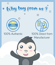 Load image into Gallery viewer, Gerber Animal Crackers Cinnamon Graham 170g Pouch 100% authentic from manufacturer