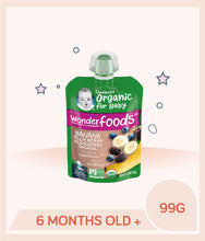 Load image into Gallery viewer, Gerber Organic Banana Blueberry Blackberry Oatmeal baby food pouch with the text '6 months old+' and '99g' on the bottom, indicating the age and price of the product.
