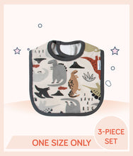 Load image into Gallery viewer, Gerber Boys Dino Bibs with allover dinosaur print
