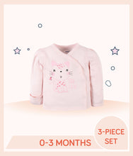 Load image into Gallery viewer, Light pink shirt features screen and puff print leopard design