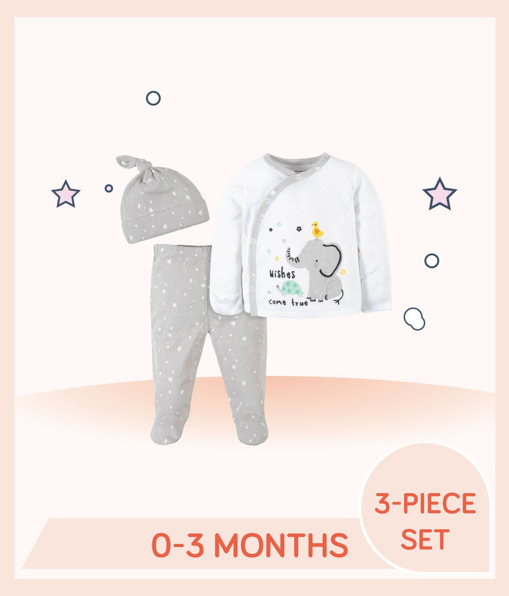 Buy Gerber Childrenswear Gerber 3-Piece Baby Neutral Baby Animals  Take-Me-Home Set 2024 Online