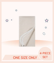 Load image into Gallery viewer, Stripe design of Gerber Boys Dino Flannel Receiving Blanket