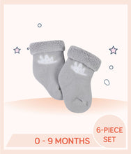 Load image into Gallery viewer, Gray Gerber Baby Socks with print art design