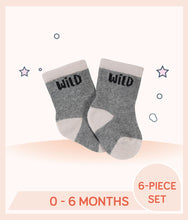 Load image into Gallery viewer, Gray Gerber Baby Boys Socks with text "Wild"