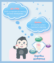 Load image into Gallery viewer, Key nutrients for cognitive development in S-26 Progress 1.65kg BIB