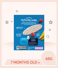 Load image into Gallery viewer, Back view of Gerber Teethers Mango Raspberry 48g box with product info