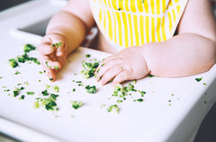 Types Of Food To Feed For A Successful Baby Led Weaning