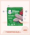 Gerber Organic Teethers Blueberry Apple Beet 48g Box
