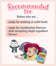 Load image into Gallery viewer, Gerber Organic Mango Apple Banana Baby Food 113g Jar
