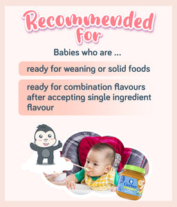 Gerber Organic Mango Apple Banana Baby Food 113g Jar