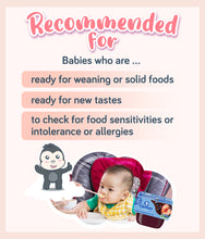 Load image into Gallery viewer, Gerber® 2nd Foods Prune Apple Baby Food
