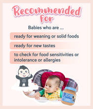 Load image into Gallery viewer, Gerber Banana Blueberry Jar 113g designed for babies 6 months and older
