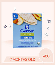 Load image into Gallery viewer, Gerber Organic Teethers Mango Banana Carrot 48g Box
