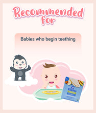 Load image into Gallery viewer, Gerber Organic Teethers Mango Banana Carrot 48g Box
