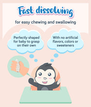 Load image into Gallery viewer, Gerber Teethers Mango Raspberry 48g Box
