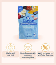 Load image into Gallery viewer, Gerber Truly Tropical Blend Fruit &amp; Veggie Melts 28g Pouch
