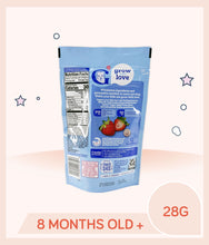 Load image into Gallery viewer, Gerber Yogurt Melts Strawberry 28g Pouch

