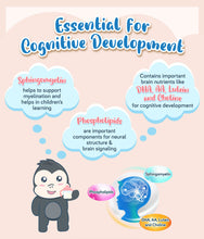 Load image into Gallery viewer, S-26 SMA Step 1 550g
