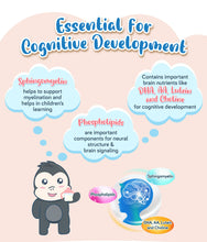 Load image into Gallery viewer, S-26 SMA Step 2 550g
