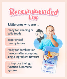Gerber Powerblend Probiotic Cereal Oatmeal Lentil Peach & Apple