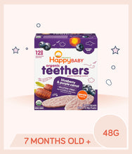 Load image into Gallery viewer, Happy Baby Teethers Blueberry Purple Carrot 48g
