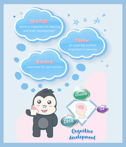 S-26 Promise 550g BIB