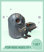Load image into Gallery viewer, Grey toy dinosaur set with dinosaur egg beside indicating for kids aged 3 years+
