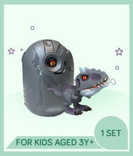 Load image into Gallery viewer, Toy dinosaur with a dinosaur egg with text showing for kids aged 3 years+

